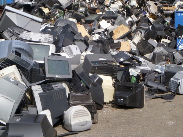 Quang Phát thu mua trực tiếp, không qua trung gian, giá luôn cao hơn thị trường