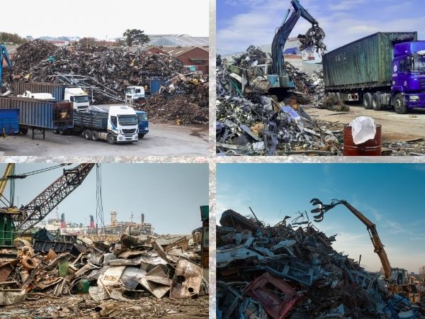 Không có giới hạn tiêu chí số lượng hay địa điểm thu mua